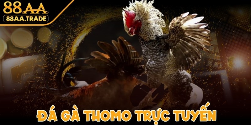 Đá Gà Thomo Trực Tuyến - Giải Trí Mãn Nhãn Cùng Chiến Kê