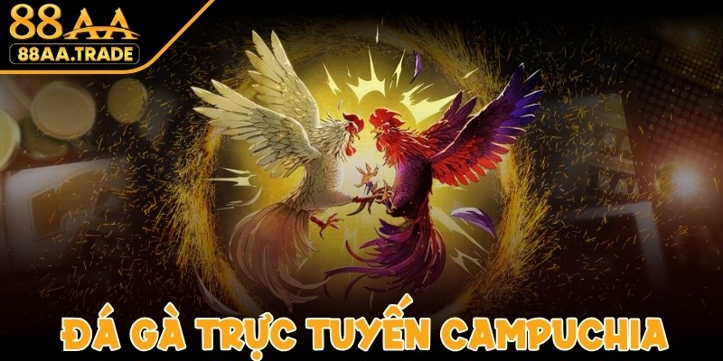 Đá Gà Trực Tuyến Campuchia - Gây Cấn, Kịch Tính Và Cuốn Hút