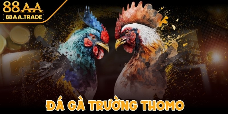 Đá Gà Trường Thomo - Nơi Tranh Tài Giữa Chiến Kê Dũng Mãnh